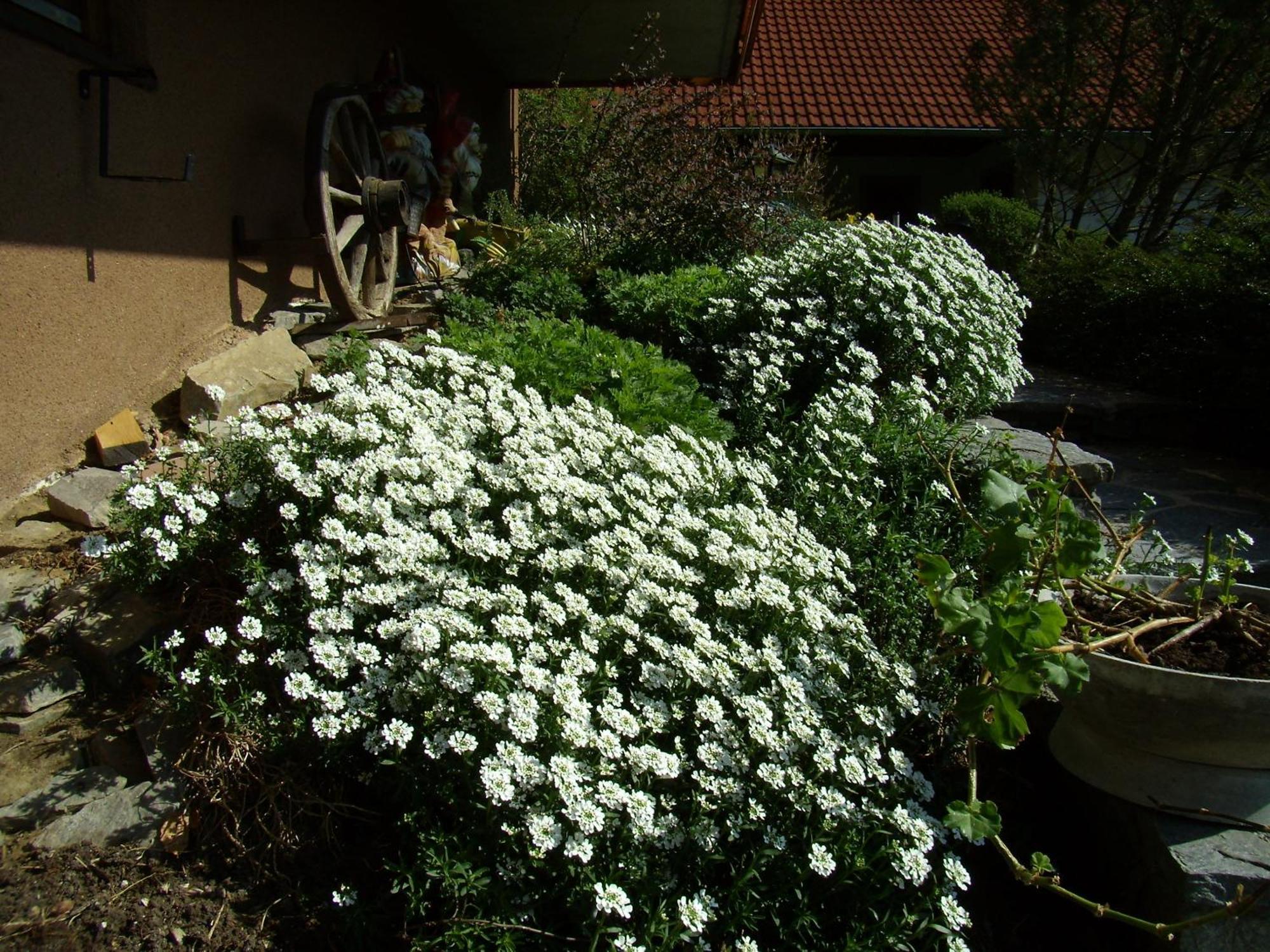 Haus Konig Apartment Turnitz