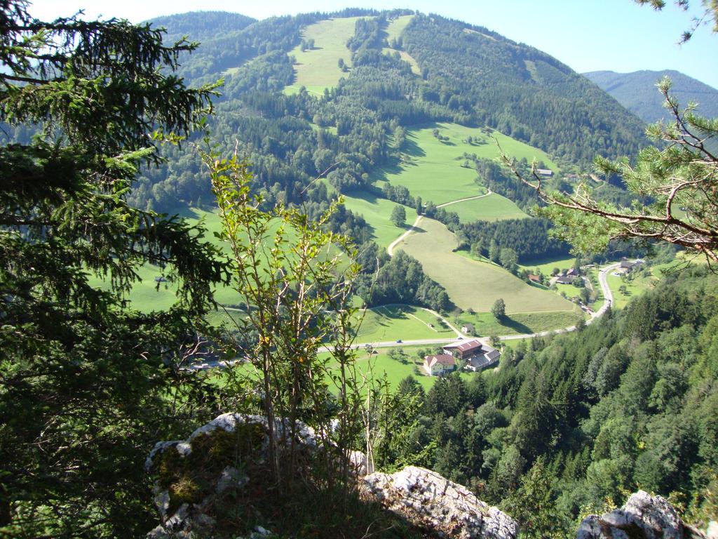 Haus Konig * Turnitz