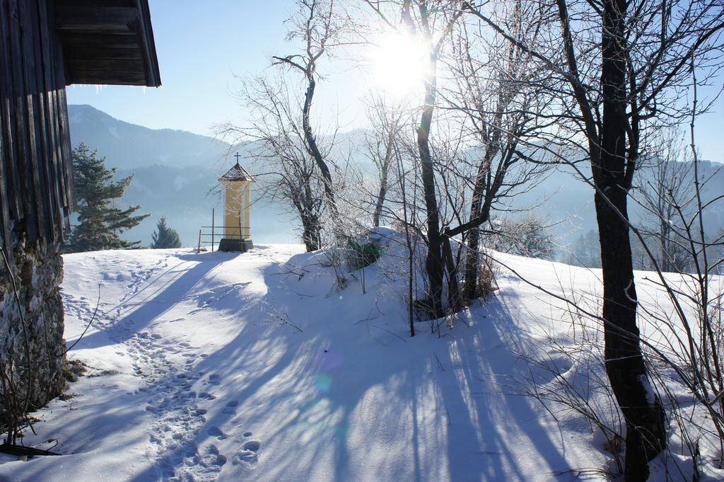 Haus Koenig * Türnitz